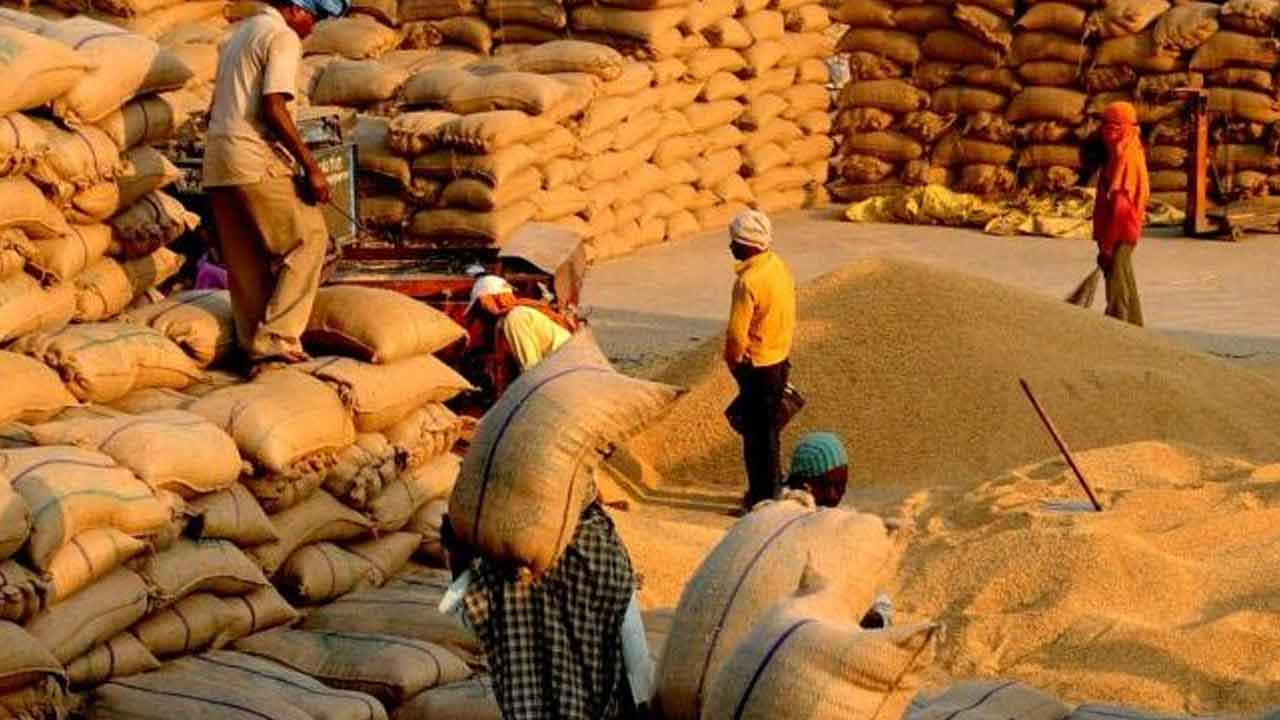 Paddy Procurement: Good news for farmers.. Paddy procurement from November 3