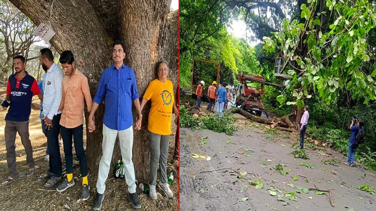 Save Trees Maharashtra: Cutting down 1,825 trees.. Sayaji Shinde Fire on Maharashtra Govt.