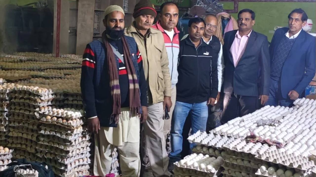 Fake Eggs: Gang making desi eggs with artificial colors.. More than 80,000 eggs seized